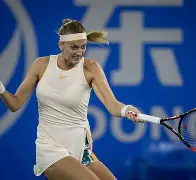 爱游戏-包含科维托娃巅峰对决，Doinb与50激战热火分钟，赛事规则更新胜负难料！的词条